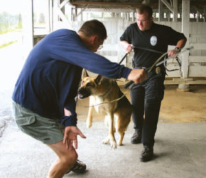 Focusing-Your-Patrol-Dog-on-Human-Apprehension001