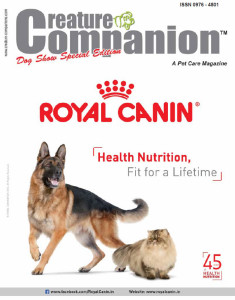 Sept2015CCDogShowCover