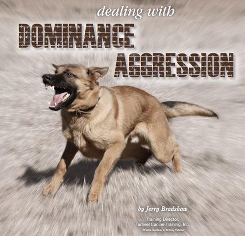 dealing-with-dominance-aggression-k9-dogs-jerry-bradshaw-tk9