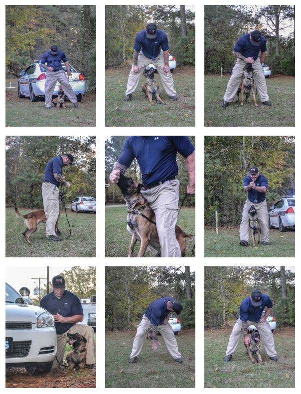 Tactical Obedience: Introducing Between 