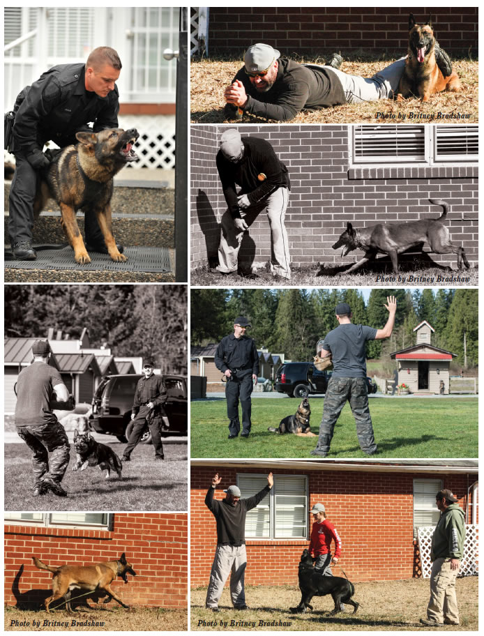 enforce k9 training school